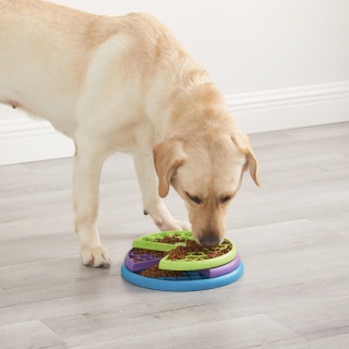 Nina Ottosson - Obrotowa Gra logiczna Dog Lickin Layers