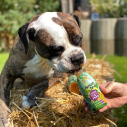 SmoothieDog Vege-Love - smoothie dla psa warzywa z ziołami (250ml