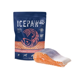 Icepaw karma mokra czysty łosoś dla psów (100g)