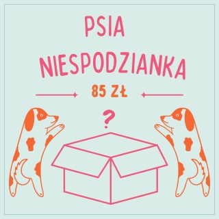 Mystery box niespodzianka dla psa - 85 zł