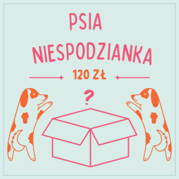 mystery box dla psa - psia niespodzianka pieskobox