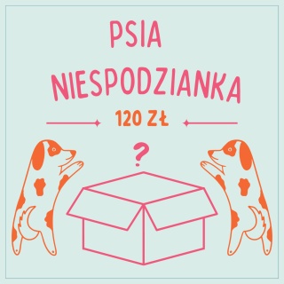 Mystery box niespodzianka dla psa - 120 zł