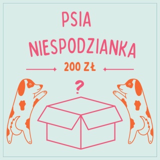 Mystery box niespodzianka dla psa - 200zł
