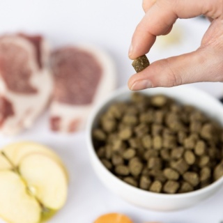 YDOLO - wieprzowina Iberico - karma półwilgotna dla psa (2,5kg)