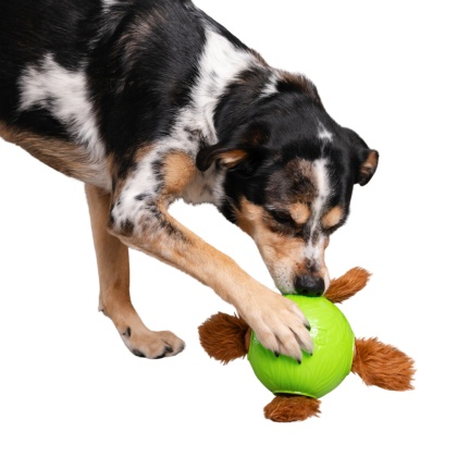 Nina Ottosson - Snuffle Ball Small - Piłka węchowa z wiewiórkami dla psa