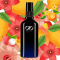 AIO Nature - proteinowa odżywka do odświeżania sierści i suszenia dla psa 100ml