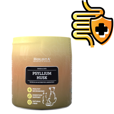 Holista - Psyllium Husk (Babka płesznik) dla psa 100g Holista - Psyllium Husk (Babka płesznik) dla psa 100g