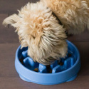 Outward Hound Fun Feeder Mini Miska spowalniająca niebieska Outward Hound Fun Feeder Mini Miska spowalniająca niebieska