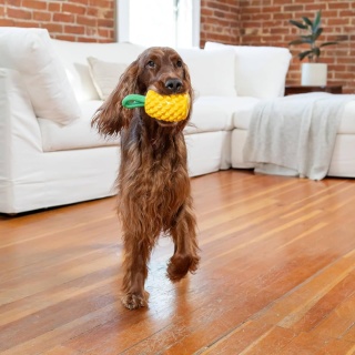Outward Hound - Ananas do żucia dla psa