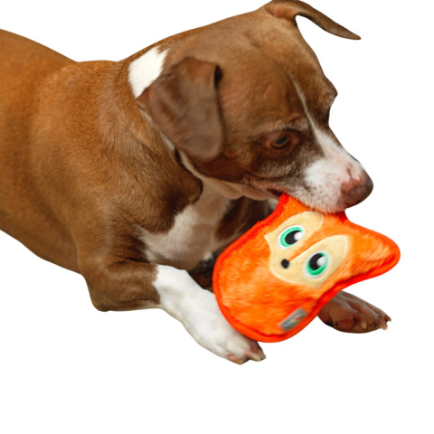 Outward Hound - LISEK Wytrzymała piszcząca zabawka dla psa XS Outward Hound - LISEK Wytrzymała piszcząca zabawka dla psa XS