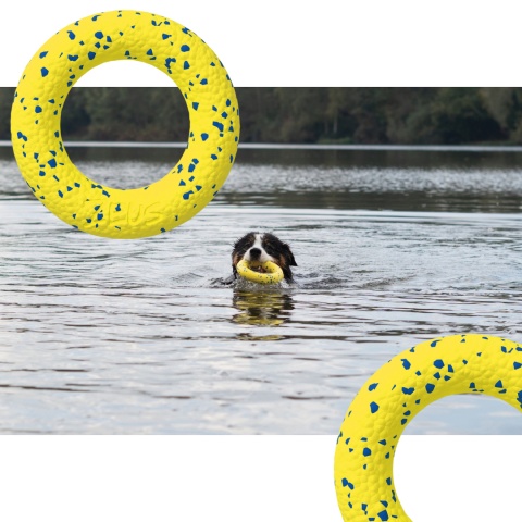 Zeus - Nitro elastyczne ringo dla psa 16 cm