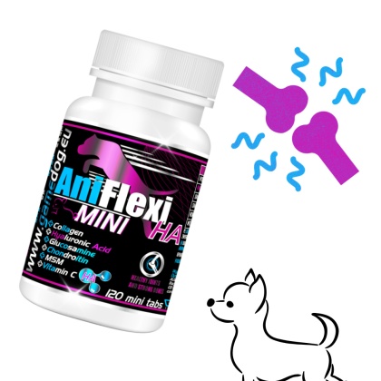 Game Dog AniFlexi HA Mini - Suplement wspomagający stawy dla małych psów 120 tbl.