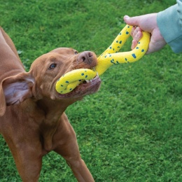 Zeus - Nitro elastyczny szarpak dla psa 22 cm