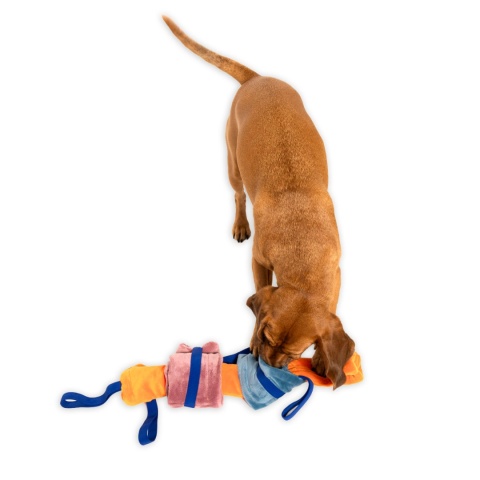 Pies korzysta z maty węchowej Nos na Skos dostępnej w Pieskobox