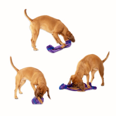 Fioletowy pas węchowy Nos na Skos z kieszonkami, podczas zabawy z psem – mata służy do treningu węchu i aktywności umysłowej