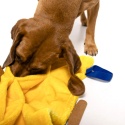 Pies bawi się matą węchową z pasem Nos na Skos – żółty element stymulujący zmysły