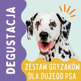 Degustacja PieskoBox – zestaw naturalnych gryzaków dla dużego psa
