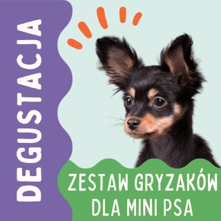 Degustacja PieskoBox – zestaw naturalnych gryzaków dla mini psa