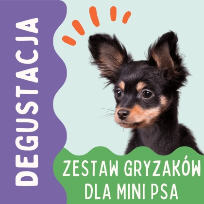 Degustacja PieskoBox – zestaw naturalnych gryzaków dla mini psa