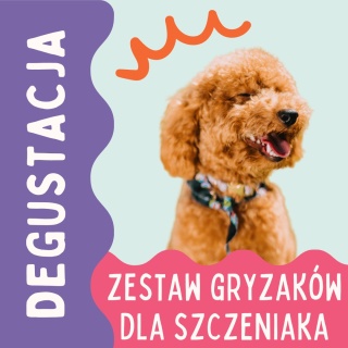 Degustacja PieskoBox – zestaw naturalnych gryzaków dla szczeniaka