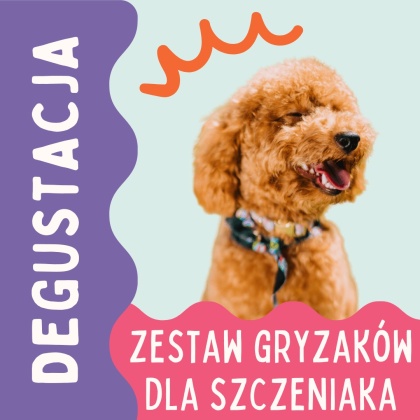 Degustacja PieskoBox – zestaw naturalnych gryzaków dla szczeniaka