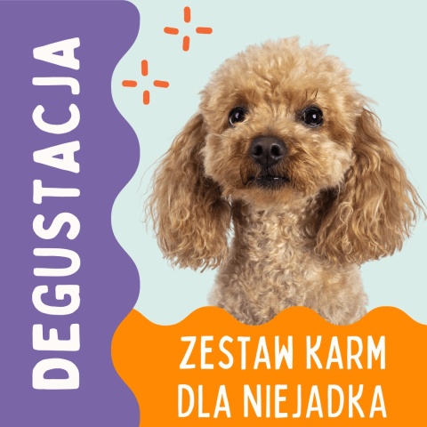 Degustacja – zestaw karm dla psiego niejadka | PieskoBox