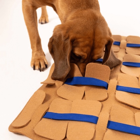 Filcowa brązowa mata węchowa Nos Na Skos poziom 1 z antypoślizgowym spodem pieskobox