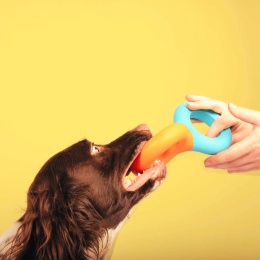 COOCKOO Gumowy szarpak dla psa Doodle - pieskobox