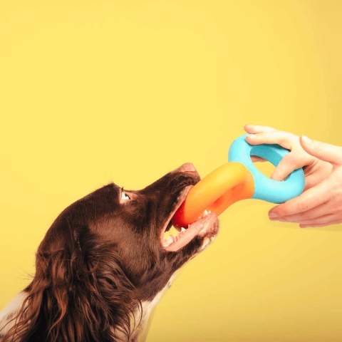 COOCKOO Gumowy szarpak dla psa Doodle - pieskobox