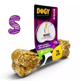 DOGY kość z jelenia dla psa 10 cm dostępna w PieskoBox