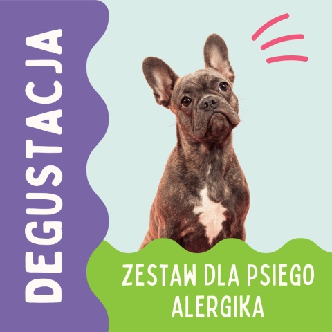 pieskobox zestaw dla psa alergika box z jednym rodzajem mięsa