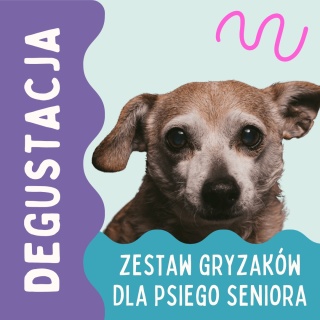 Degustacja PieskoBox – zestaw naturalnych gryzaków dla psiego seniora