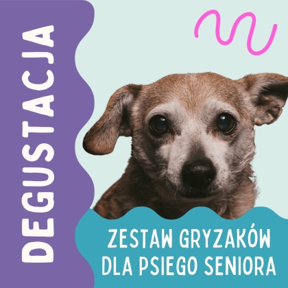 Degustacja PieskoBox – zestaw naturalnych gryzaków dla psiego seniora