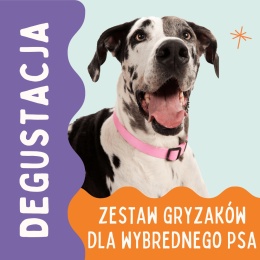 zestaw gryzaków dla wybrednego psa pieskobox degustacja