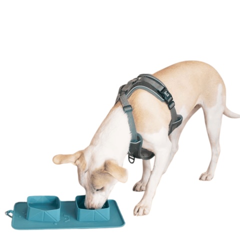 duvo podróżna mata z miskami dla psa 2x600ml