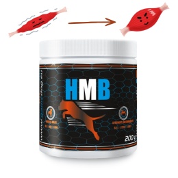 Game Dog HMB Ca suplement wspierający mięśnie psa 200g