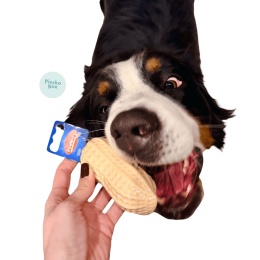 gumowa zabawka dla psa orzeszek ziemny 11 cm z piszczałką i pies