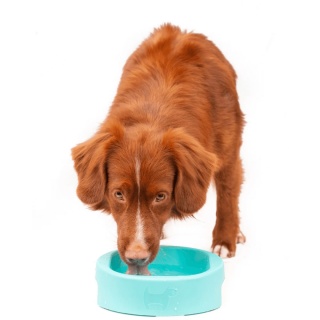 HERO BOWL Miska antybakteryjna dla psa 450ml