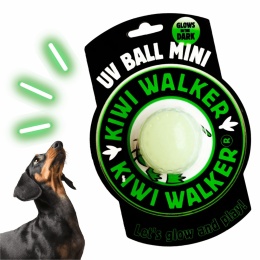 Kiwi Walker Let's Play Glow Ball MINI świecąca piłka dla psa w pieskobox
