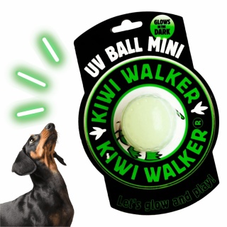 Kiwi Walker - świecąca w ciemności piłka dla psa MINI Let's Play!
