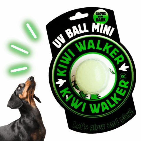 Kiwi Walker Let's Play Glow Ball MINI świecąca piłka dla psa w pieskobox