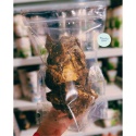 Suszona krtań wołowa Meat Stuff – naturalny gryzak dla psa dostępny w PieskoBox