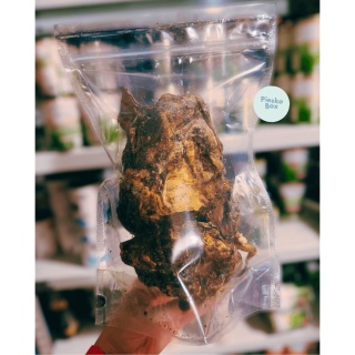 Meat Stuff - Suszona Krtań wołowa dla psa 2 szt.