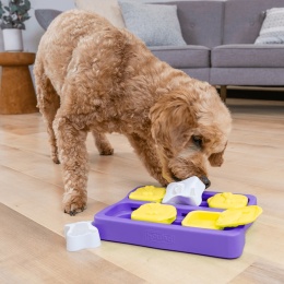 Nina Ottosson Dog Brick Small – mini gra edukacyjna i logiczna dla psa