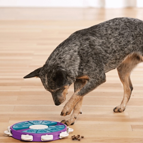 Gra logiczna dla psa Nina Ottosson Twister z przesuwanymi szufladkami na smaczki dla psa