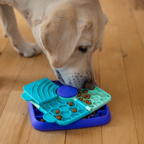 Nina Ottosson Lick n'Flip – gra edukacyjna i miska interaktywna dla psa dostępna w PieskoBox