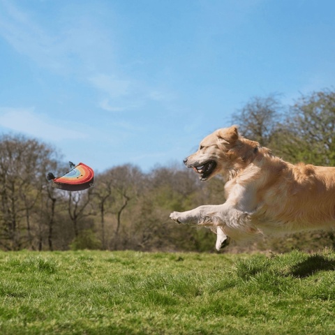 GREEN & WILD'S Rainbow Warrior – skórzano-jutowa zabawka Tęcza dla psa