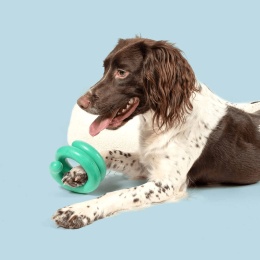 coockoo wiggle sprężynka szarpak elastyczny zielony z psem