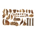 Meat Stuff chrupiąca tchawica jelenia dla psa 100g w pieskobox