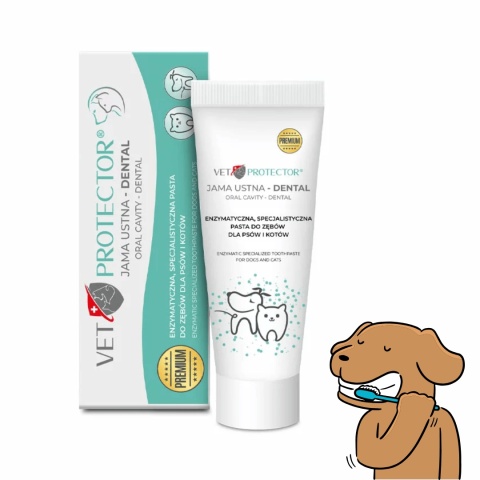 JM Sante Pharma VET PROTECTOR enzymatyczna pasta do zębów dla psa 75 ml